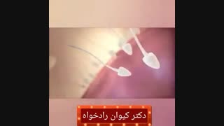 اسپرم و باروری