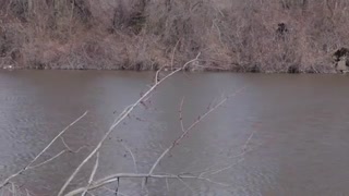 انواع دوربین های فیلمبرداری سونی-اجاره دوربین-اجاره دوربین سونی-موسسه پارس لنز