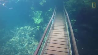 آب گرفتگی در مسیرهای جنگلی برزیل