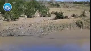 محمدرضا گلزار