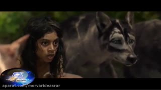فیلم موگلی افسانه جنگل Mowgli: Legend of the Jungle در آکادمی اشارتی در ابواب علوم