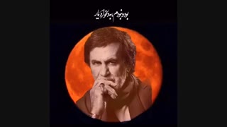 حبیب ﮼محبیان ﮼ محکوم به عشقم …