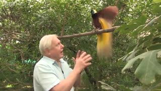 مزاحمت پرنده حین ضبط مستند