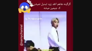 اول جلتنمنه دوباره کیوت بازیابازیاش شروع میشع