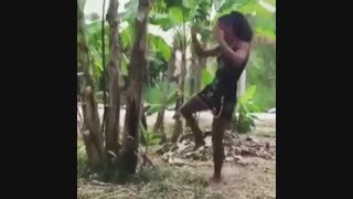 ماشالا زور