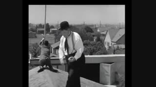 گراز وحشی - Hog Wild 1930