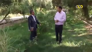 برنامه همسفر-طبس