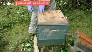 مجموعه آموزش زنبورداری بصورت کامل