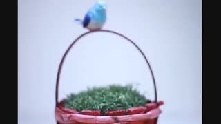 سیزده بدر مبارک