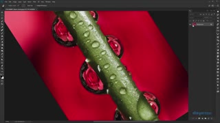 آموزش فتوشاپ ابزار داکیومنت فتوشاپ rotate-tool