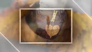 بیا با هم حرف بزنیم : شعرودکلمه شهریار دادور