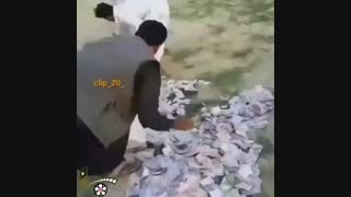 لا به لای پولا دارن دنبال پیاز میگردن