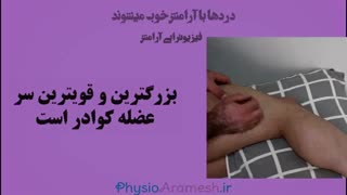درای نیدلینگ عضله واستوس لترالیس
