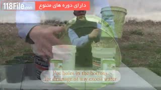 آموزش پرورش انواع قارچ صدفی و دکمه ای