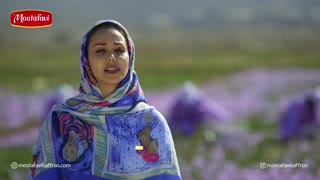 زعفران و درمان افسردگی