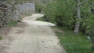 کلیپ معرفی دره مرادبیگ همدان و تصاویر و تاریخچه این منطقه زیبا