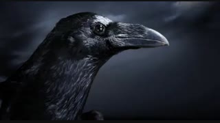 من هم تروریستم