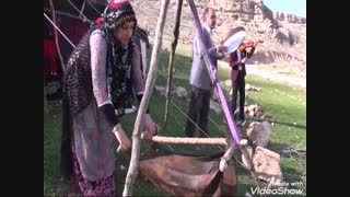 حسن زیرک  سالی تازه #دابسمش اهنگ استاد حسن زیرک