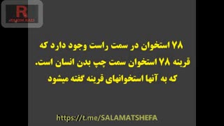 استخوان انسان استولوژی علم استخوان شناسی جلسه اول مقدمات و سر و جمجمه