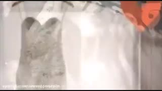 کرایه سفره عقد / اجاره لباس نامزدی