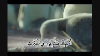 ترجمه تصویری سوره مومنون