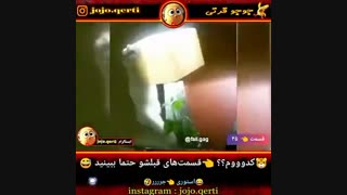 +وقتی کرم درون حیوانات فعال میشه+
