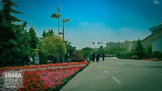 گل‌های کمیاب را در این نمایشگاه بیابید