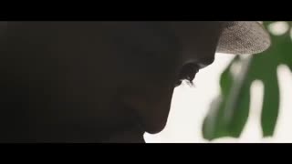 فیلمبرداری با دوربین الکسا کلاسیک-اجاره دوربینهای سینمایی 35 میلیمتری