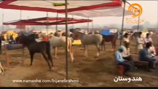 مستند هندوستان