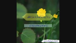 قسمت دوم مناجات شعبانیه با صدای استاد فرهمند-جنبش السابقون