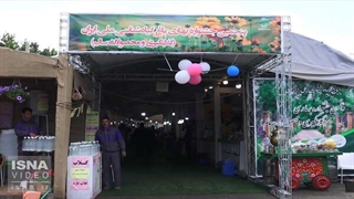 رنگ و بوی بهار در باغ گیاه‌شناسی ملی