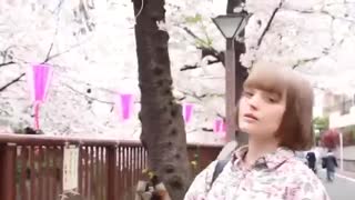 Last Cherry Blossoms of an Era _ویدئوی جدید داکوتا رز