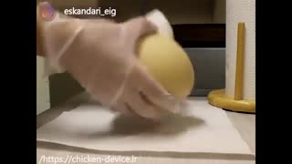 آموزش جوجه کشی  تخم شتر مرغ