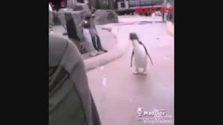 وقتی تنهااکسوال کلاسی!