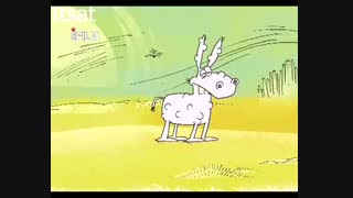 چرا گورخر ها راه راه اند