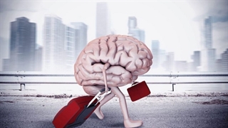 فرار مغزها از شایعه تا واقعیت!
