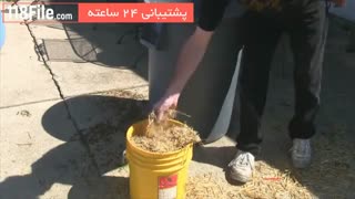 پرورش و رشد سریع قارچ با کاه