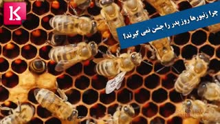 چرا زنبورها روز پدر را جشن نمی گیرند؟