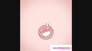 مراحل تکاپوی جنین