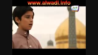 زیارت معصومه(س)