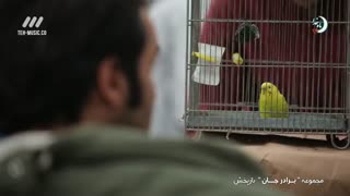 دانلود سریال برادر جان  قسمت 10 دهم