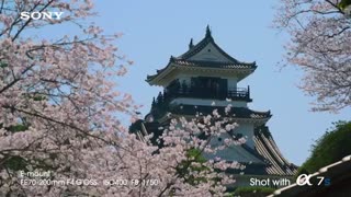 دوربین بدون آینه آلفا سون سونی/فیلمبرداری با دوربین آلفا7سونی/اجاره دوربینهای آلفا7 سونی