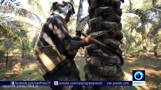 خوزستان / Khuzestan