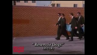 آنونس «سگ‌های انباری»