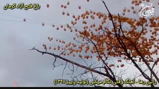 نماهنگ عاشقانه وقتی نگام میکنی از راتین رها + باغ فتح آباد کرمان