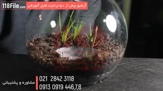 آموزش ساخت تراریوم در خانه