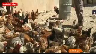 اخبار اقتصادی دوشنبه 17 تیر 1398