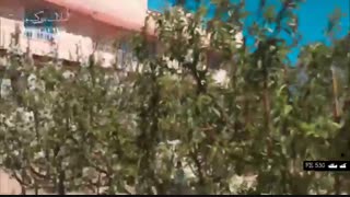 باغ و باغچه در شهریار کد 530 املاک بمان