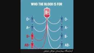 انتقال خون بین گروه های خونی