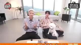 توبن(سگ چانیول) ورژن کوچیک شده ی بکهیونه